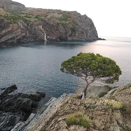 San Jordi Πανσιόν