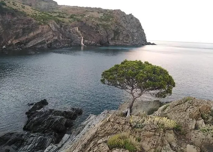San Jordi ゲストハウス